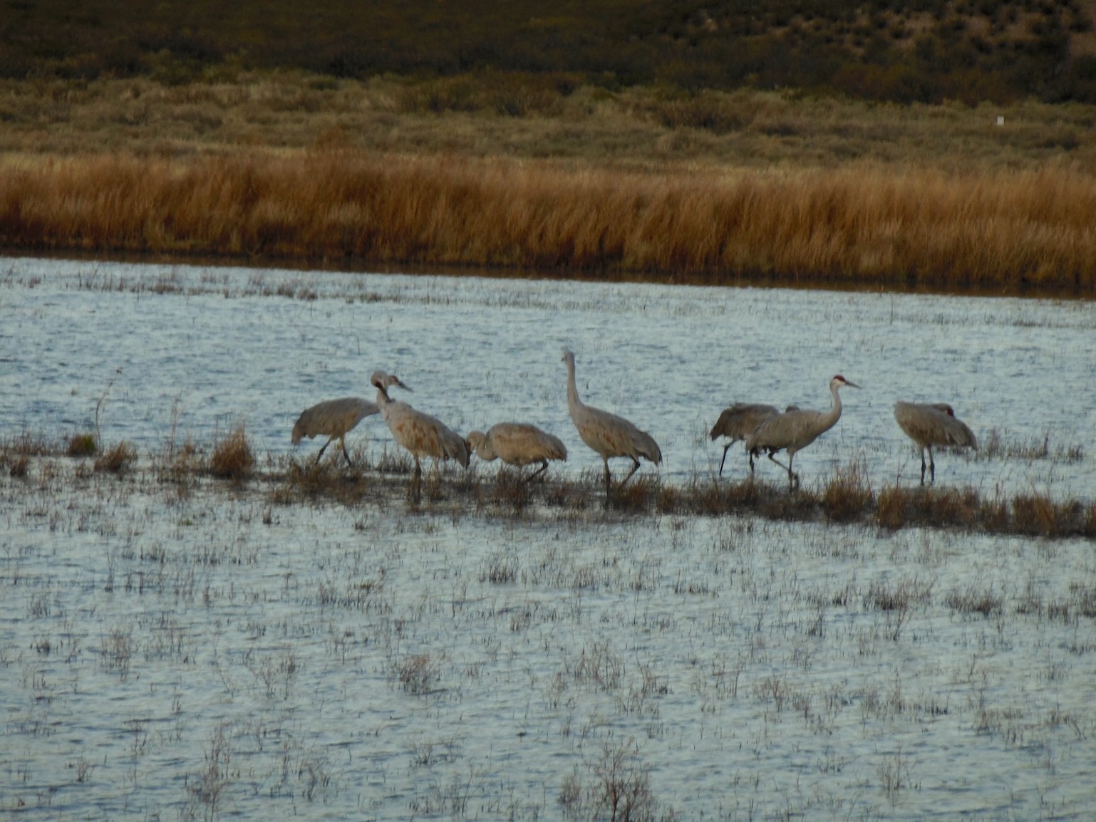 February 2025 update